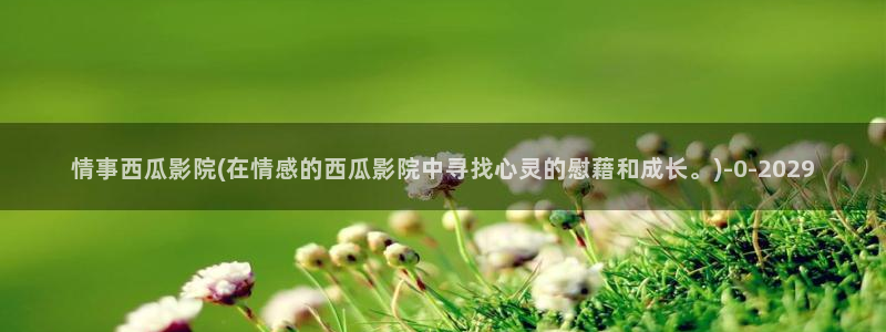 韩国电影西瓜影院