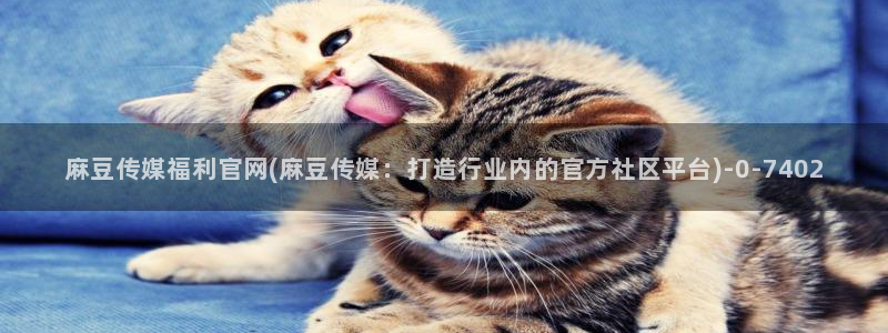 麻豆经纪传媒官网：麻豆传媒福利官网(麻豆传媒：打造行业内的官方社区平台)