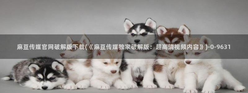麻豆传媒官网在线免费：麻豆传媒官网破解版下载(《麻豆传媒独家破解版：超高清视频内容》)