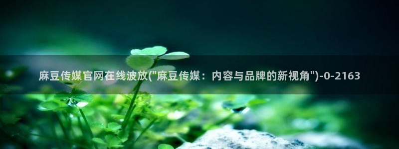 麻豆床传媒官网app：麻豆传媒官网在线波放(\