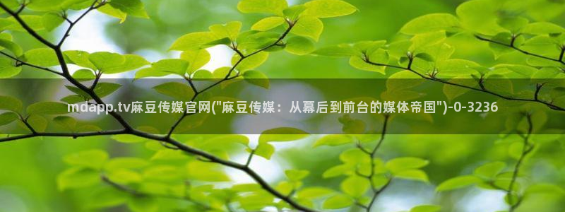 麻豆传媒传播官网：mdapp.tv麻豆传媒官网(\