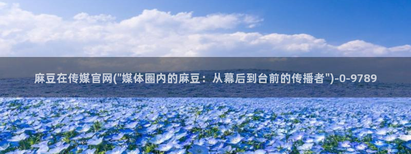 91麻豆传媒官网首页：麻豆在传媒官网(\