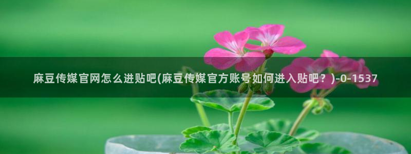 麻豆影视 传媒官网：麻豆传媒官网怎么进贴吧(麻豆传媒官方账号如何进入贴吧？)