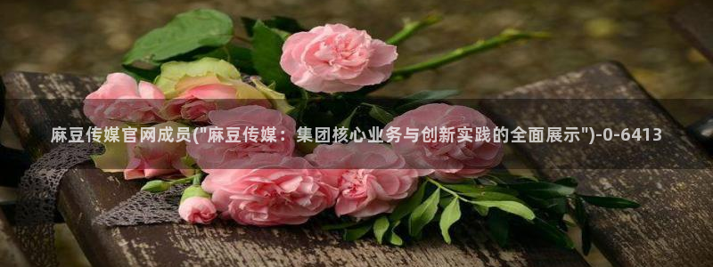 麻豆文化传媒官网男主角：麻豆传媒官网成员(\