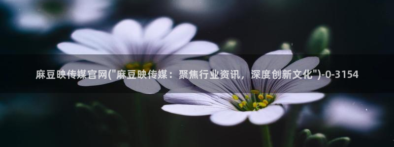 麻豆映像传媒官网：麻豆映传媒官网(\