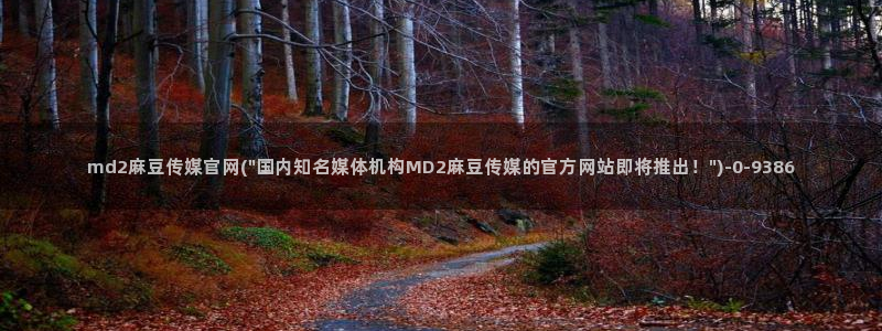 麻豆啊传媒app官网黄：md2麻豆传媒官网(\