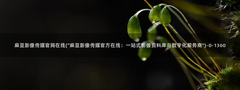 麻豆tv传媒官网：麻豆影像传媒官网在线(\