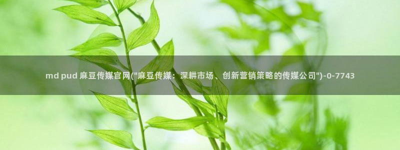 台湾麻豆传媒app官网：md pud 麻豆传媒官网(\