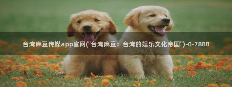 麻豆传媒出品官网：台湾麻豆传媒app官网(\
