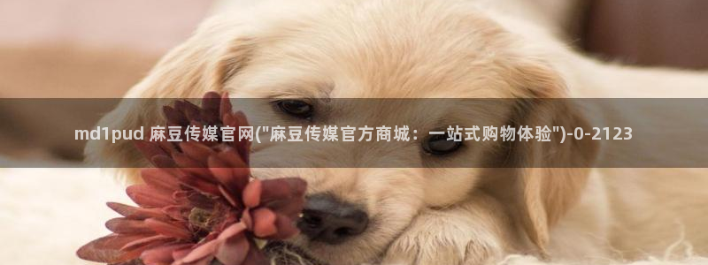 麻豆床传媒官网天美：md1pud 麻豆传媒官网(\