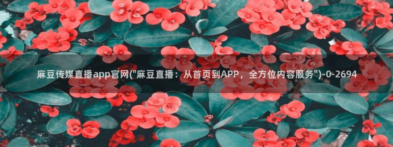 麻豆传媒传播官网：麻豆传媒直播app官网(\