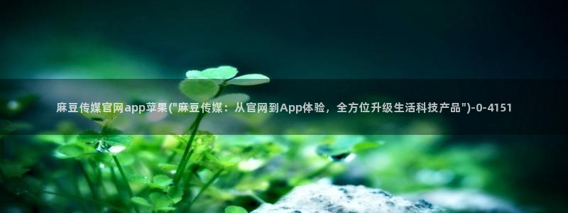 麻豆传媒a官网