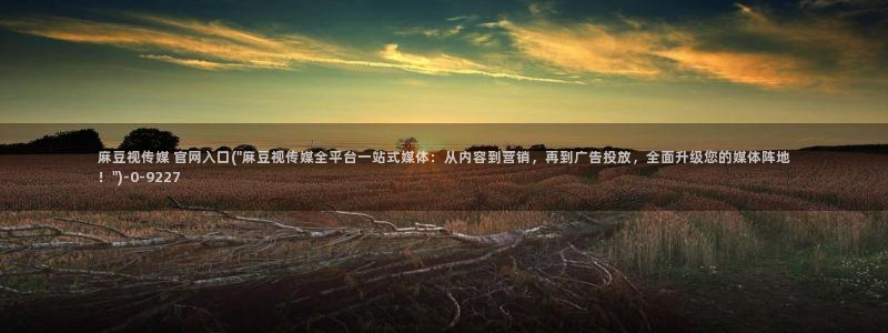 麻豆娱乐传媒官网：麻豆视传媒 官网入口(\