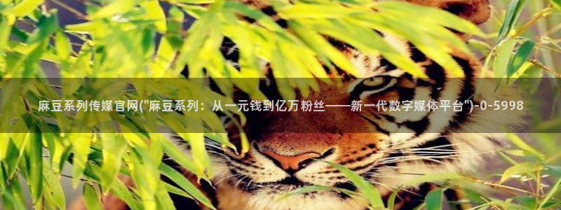 麻豆短传媒app官网