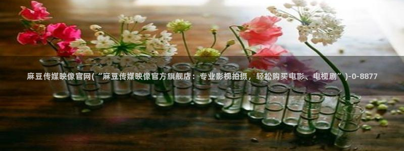 麻豆影视传媒官网入口