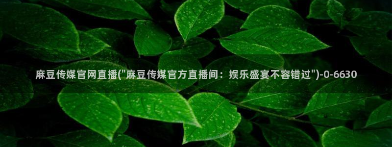 麻豆影视传媒app官网