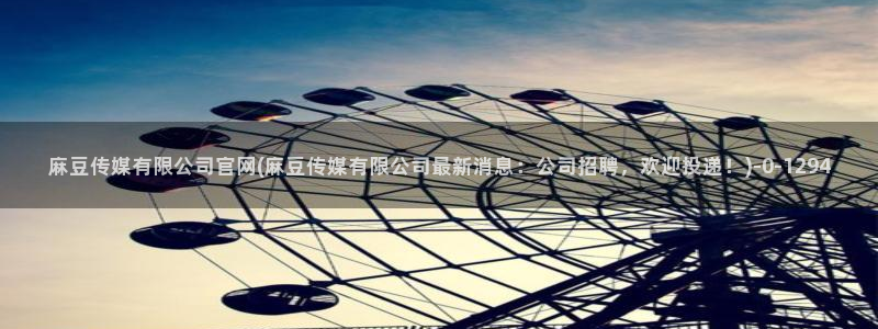 国产之光 麻豆传媒官网